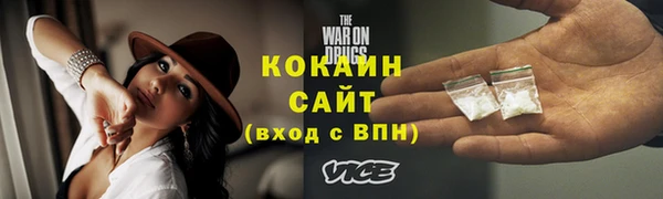 тгк Алексин