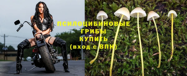 прущий лед Аркадак