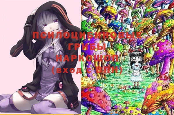 тгк Алексин