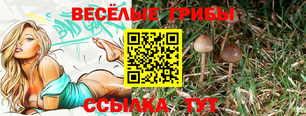 Белорецк  NBOMe  Вход с VPN  ГАШ  Бошки Шишки  Cocaine  Меф МЯУ МЯУ  