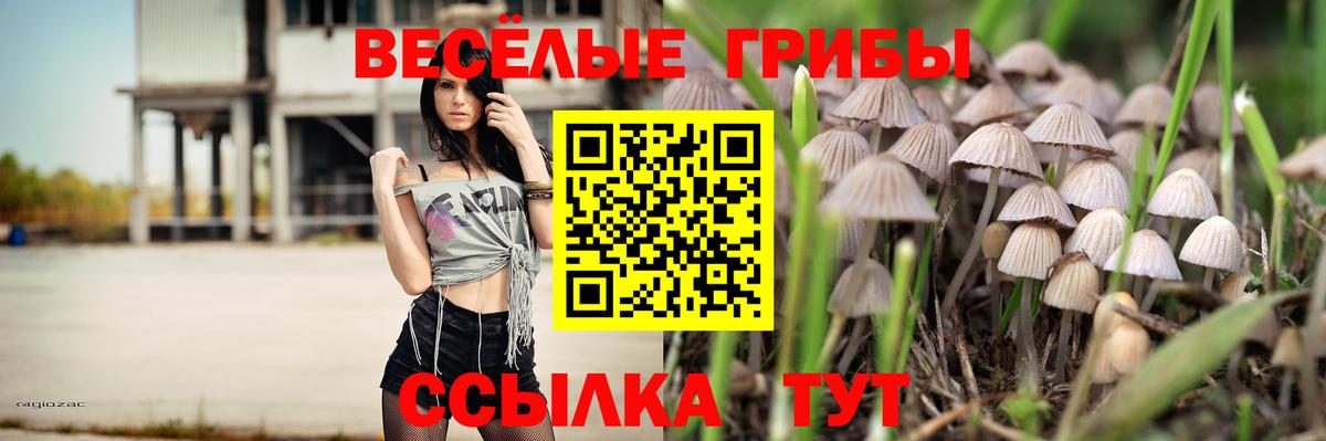 Белорецк  Псилоцибиновые грибы мухоморы  Вход с VPN 